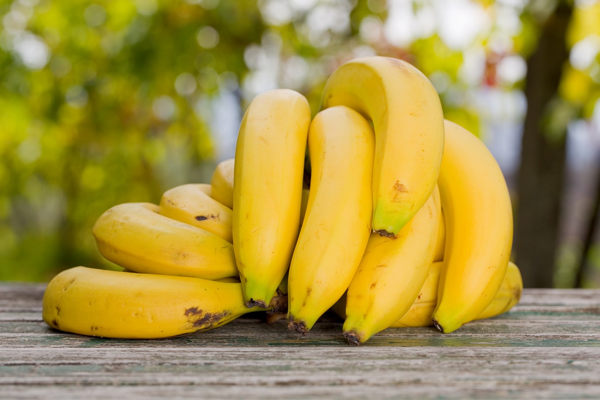 Ecuador and banana